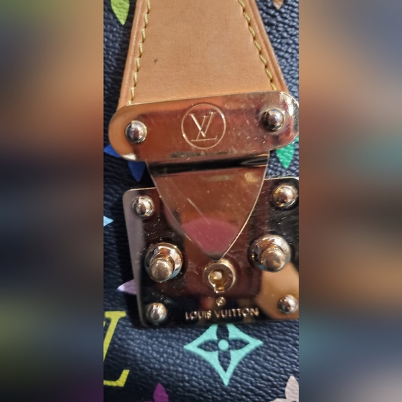Louis Vuitton Multicolor Speedy - Picture 6 of 16